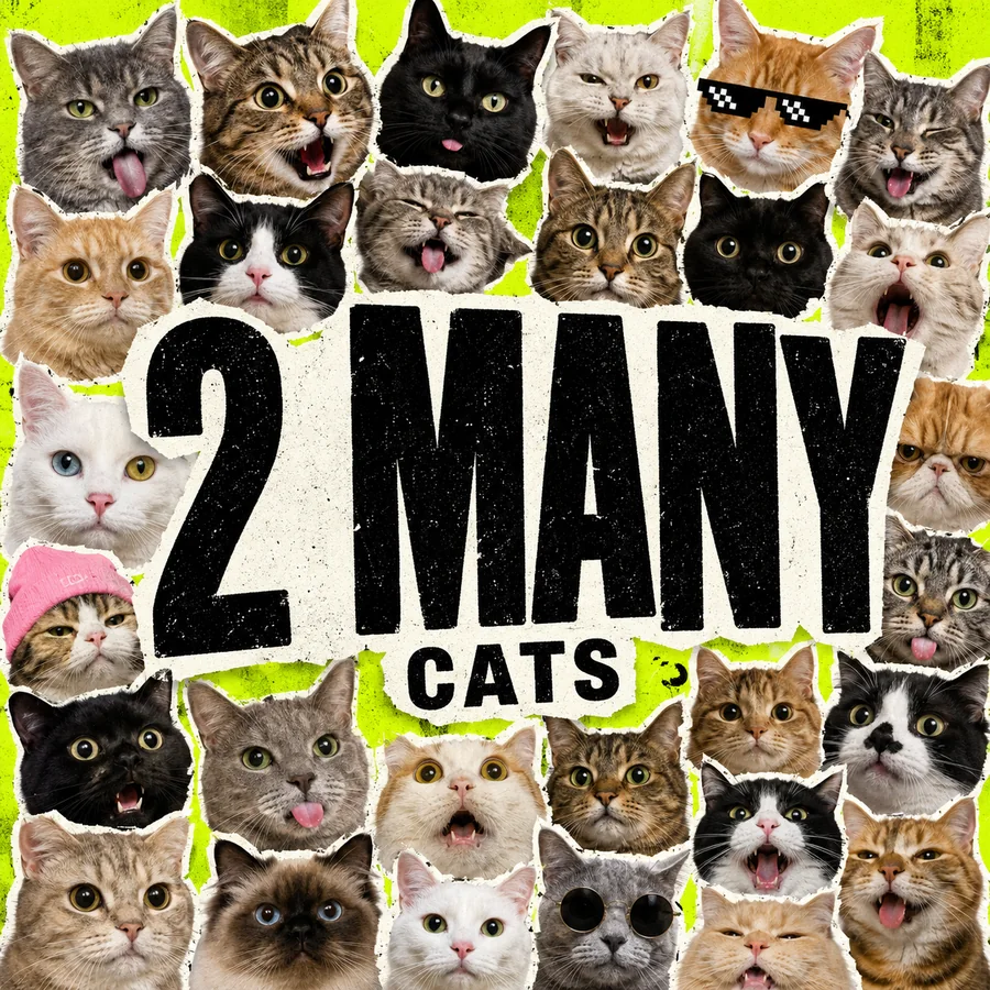 2MANYCATS logo