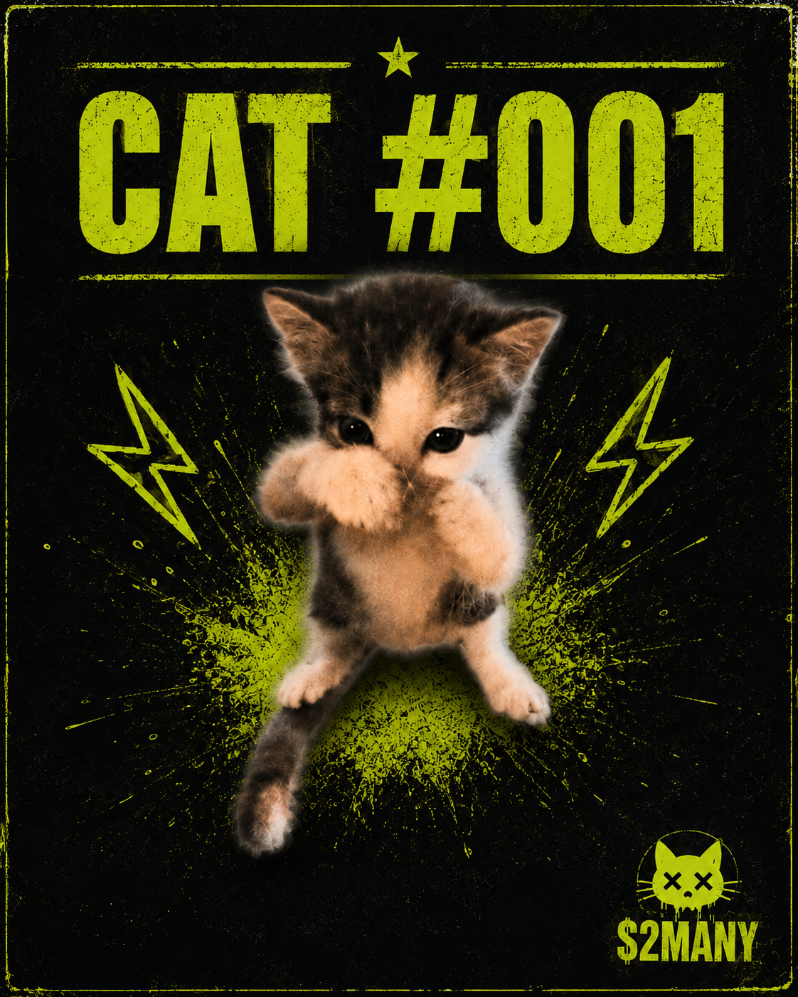 Cat #001 submitted by @Drake_primex