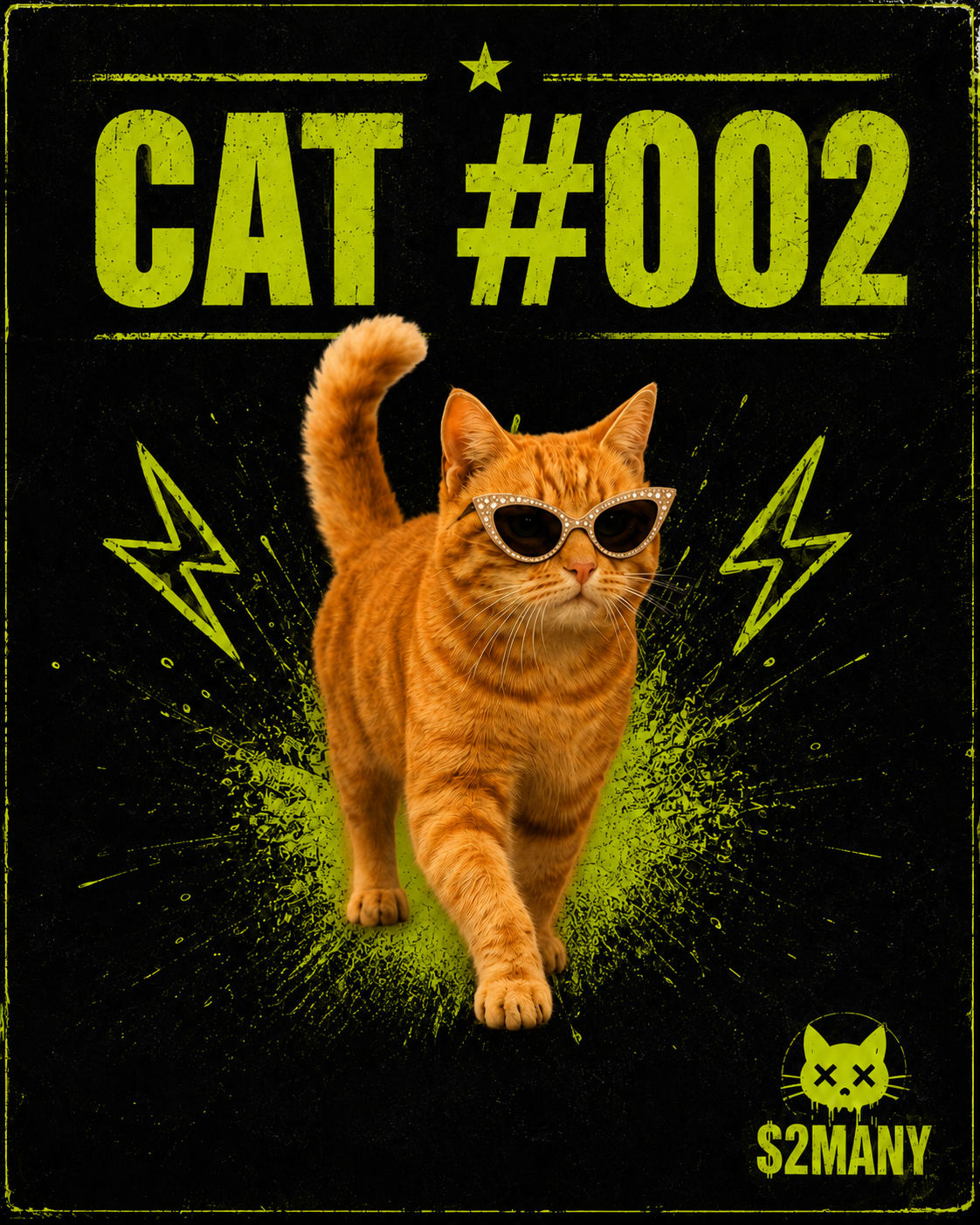 Cat #002 submitted by @Ox_Ayven1