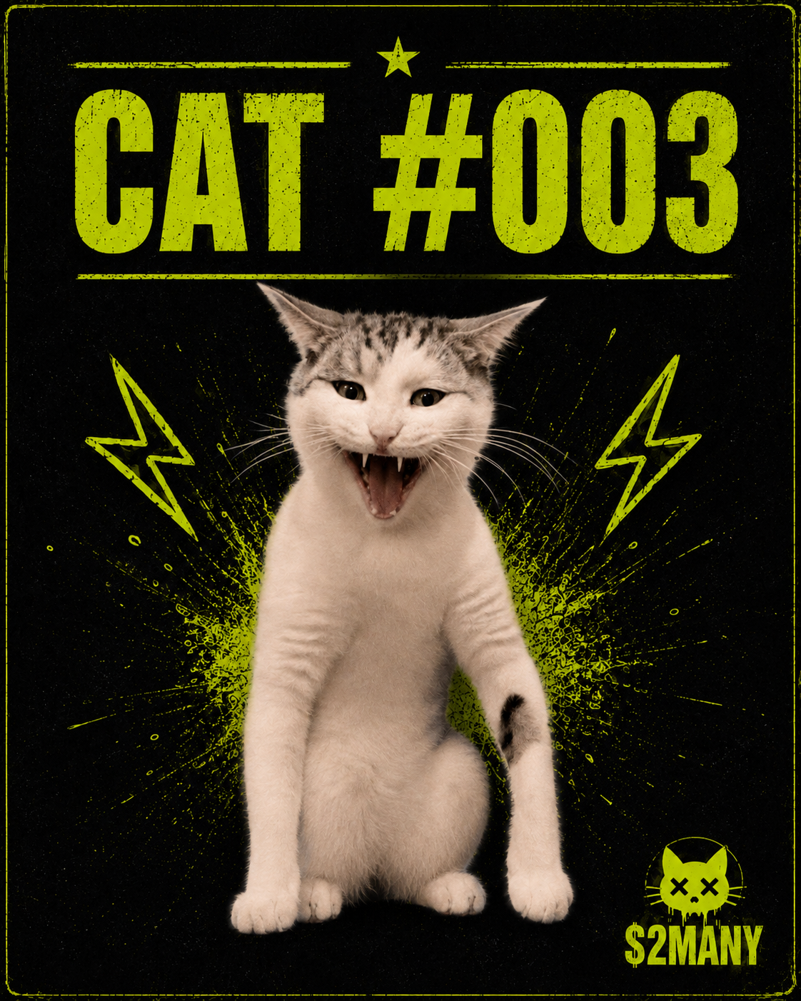 Cat #003 submitted by @wondax35